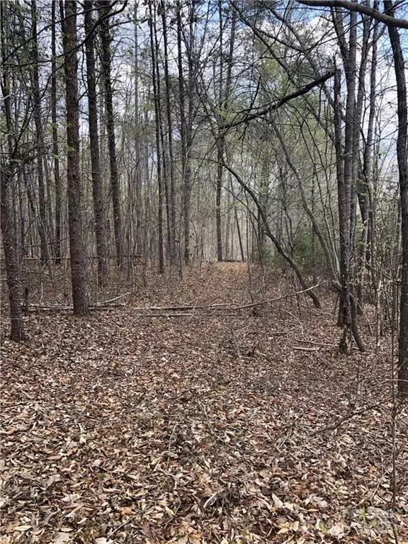 Stoneville, NC 27048,0 Hen RD