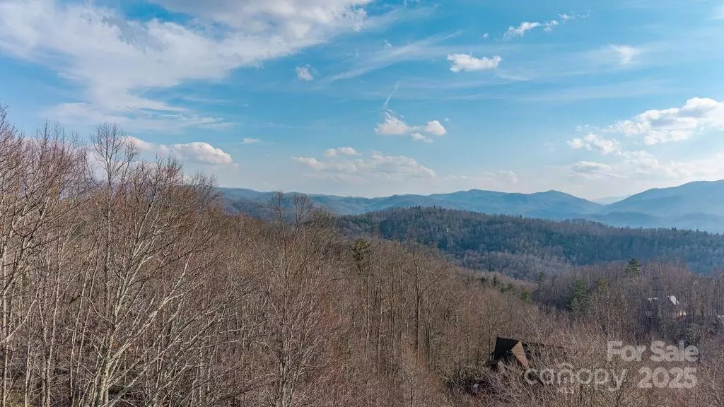 Elk Park, NC 28622,Lot 52 Pinnacle DR