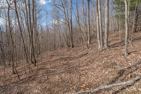 Elk Park, NC 28622,Lot 52 Pinnacle DR