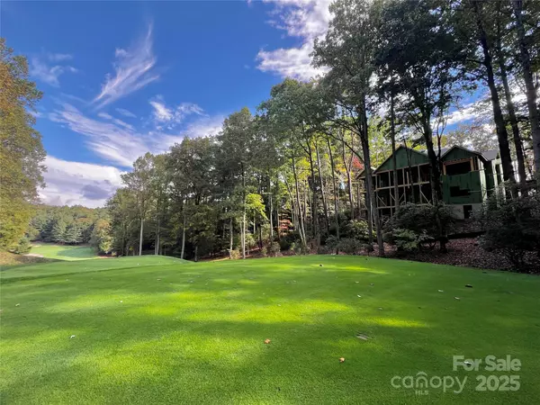 Hendersonville, NC 28739,99 Little Cherokee RDG