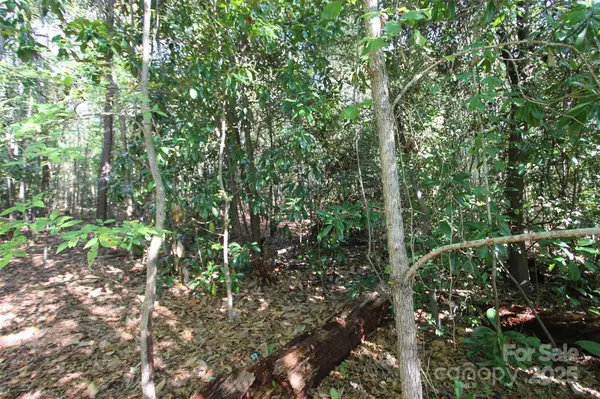 Wadesboro, NC 28170,TBD N Washington ST