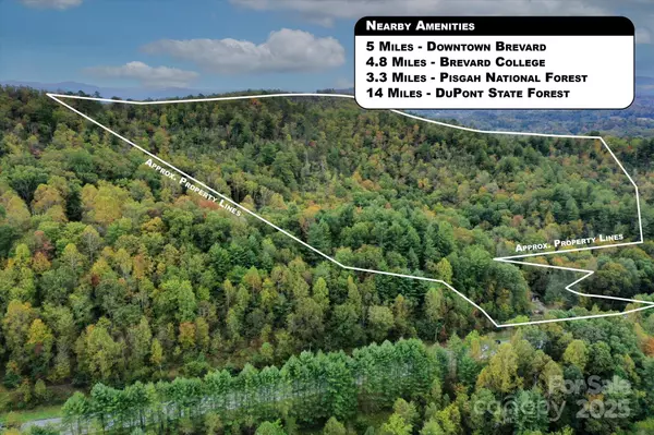 4040 Asheville HWY, Pisgah Forest, NC 28768