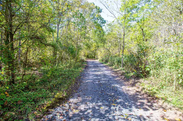 Barnardsville, NC 28709,10 Dodd RD