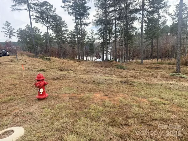 2948 Jumping RUN #88, Connelly Springs, NC 28612