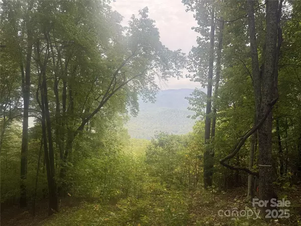 Sylva, NC 28713,768 Boar Ridge RD #121