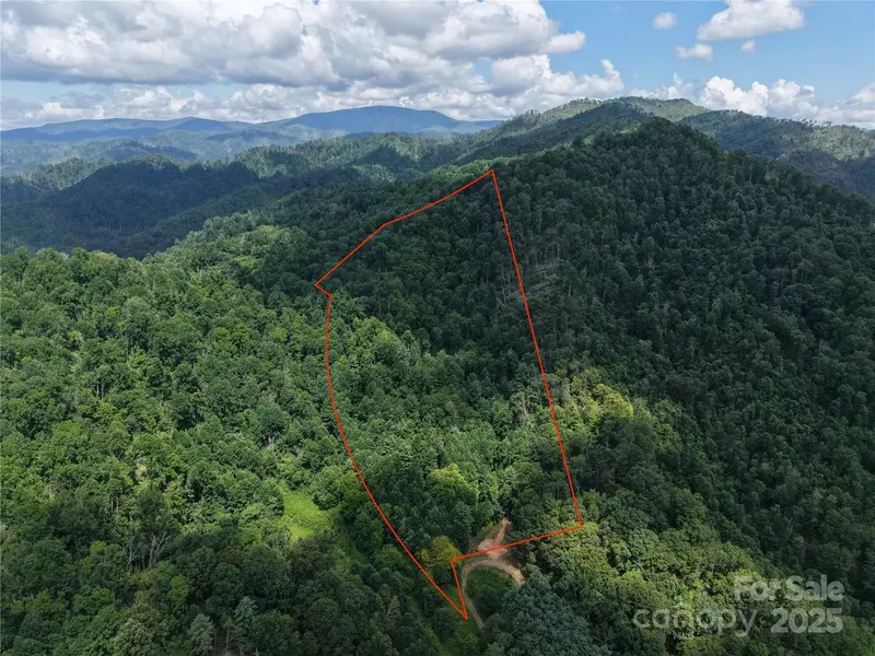 00 Bee Branch RD, Bakersville, NC 28705