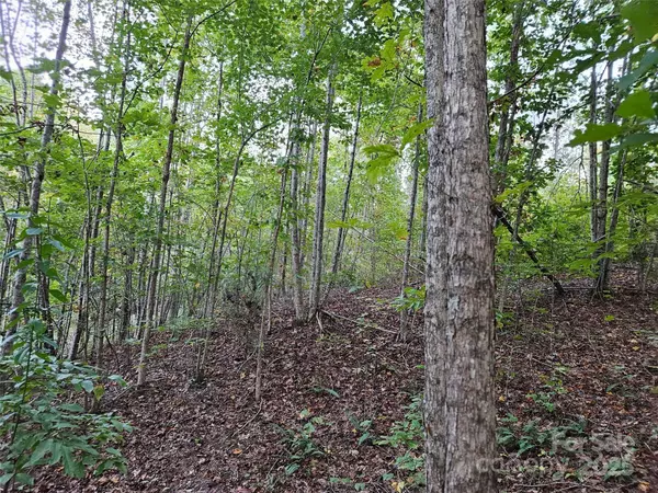 Union Mills, NC 28167,0 Thermal City RD #3
