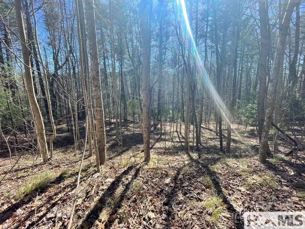 Cashiers, NC 28717,1 Bear Log RD