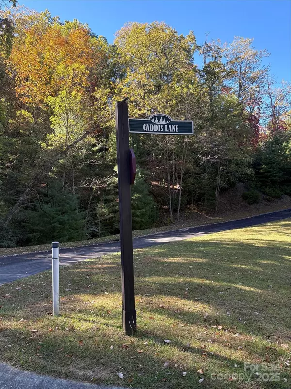 Horse Shoe, NC 28742,00 Caddis LN #94