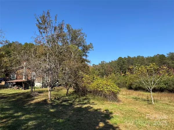 147 Helton LN, Mill Spring, NC 28756