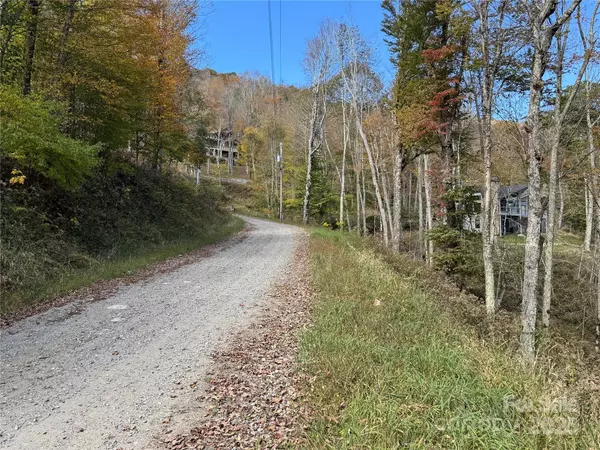 Mars Hill, NC 28754,27 Trillium LN