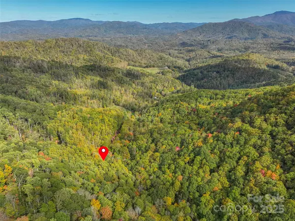 Green Mountain, NC 28740,183 Crystal Creek LN