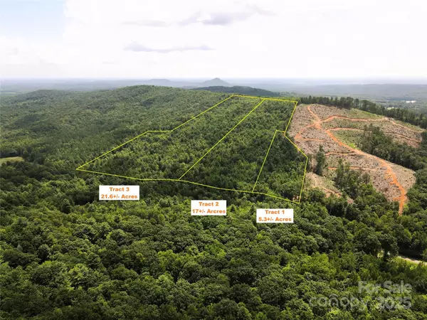 Connelly Springs, NC 28612,Lot 2 Mount Gilead Church RD #2
