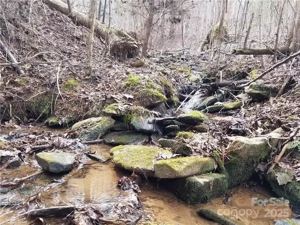 Connelly Springs, NC 28612,Lot 3 Mount Gilead Church RD #3