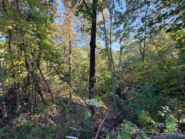 Lake Lure, NC 28746,762 Island Creek RD