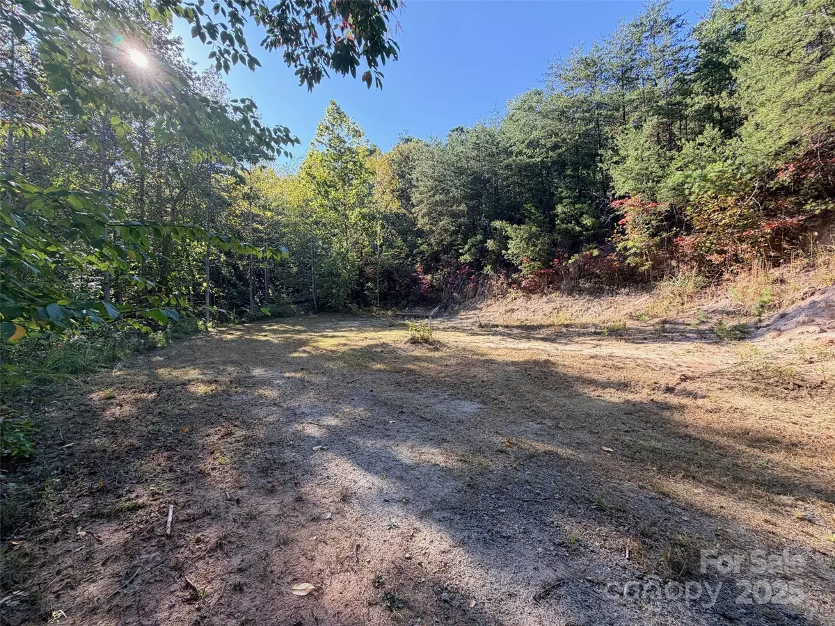 Lake Lure, NC 28746,762 Island Creek RD