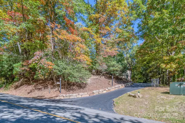 Brevard, NC 28712,1955 Connestee TRL