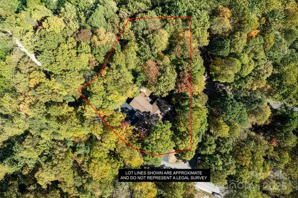 Brevard, NC 28712,1955 Connestee TRL