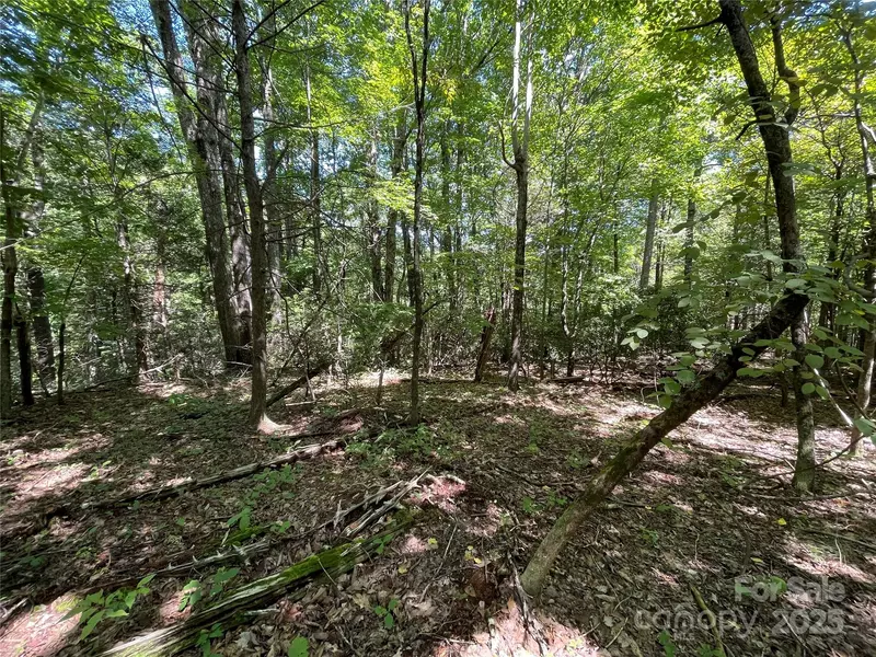 99999 Morgan Hill RD #4, Fairview, NC 28730