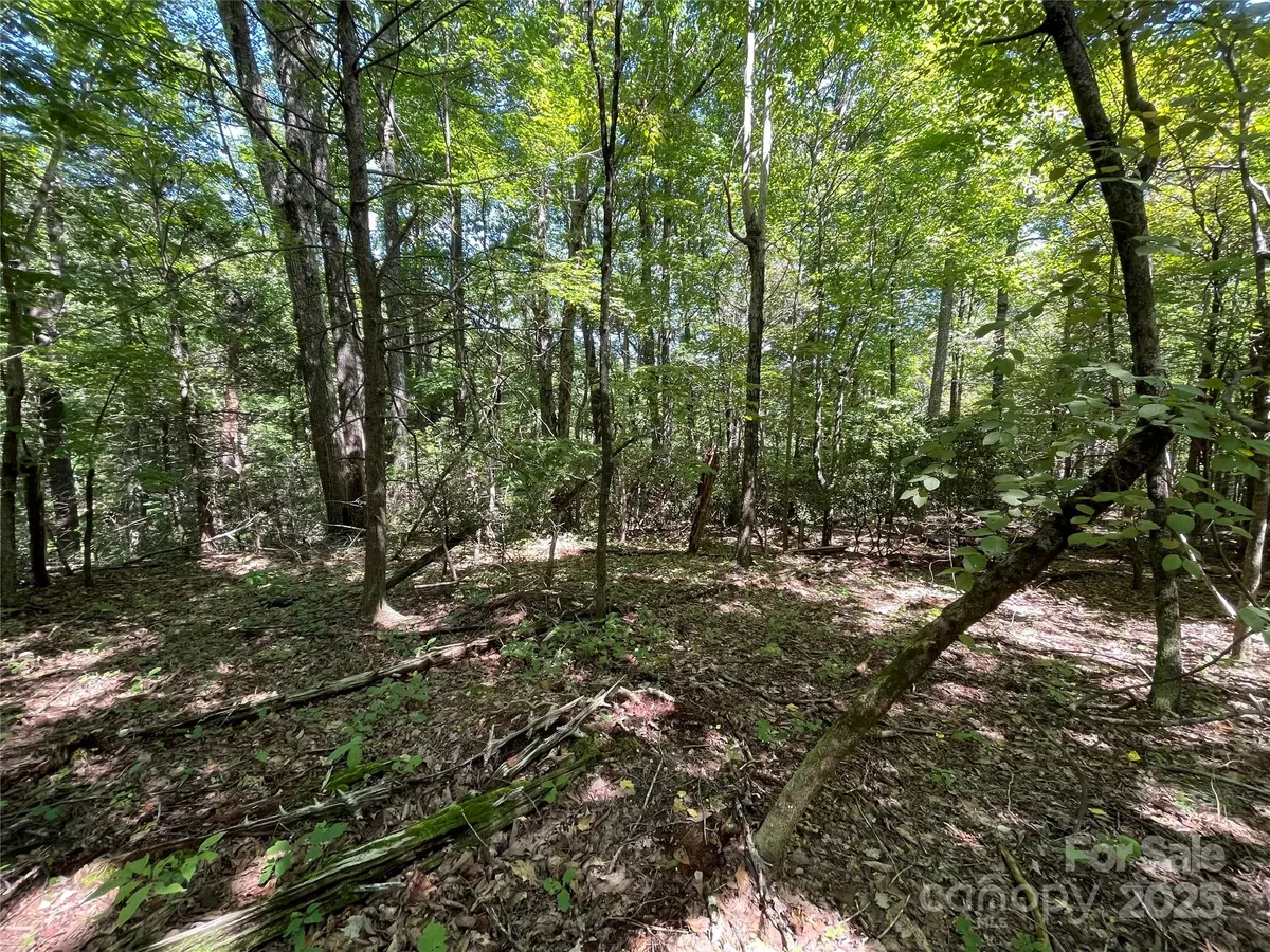 Fairview, NC 28730,99999 Morgan Hill RD #4