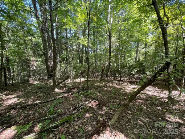 99999 Morgan Hill RD #4, Fairview, NC 28730