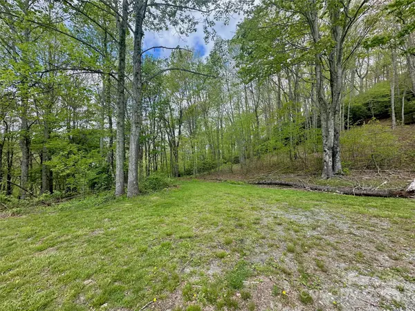 Boone, NC 28607,TBD Jackson Ridge RD #4