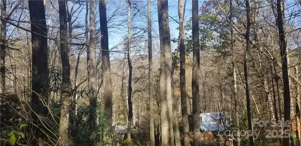 Maggie Valley, NC 28751,Lot C31 Shady LN