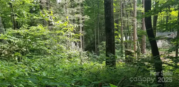 Maggie Valley, NC 28751,Lot C31 Shady LN