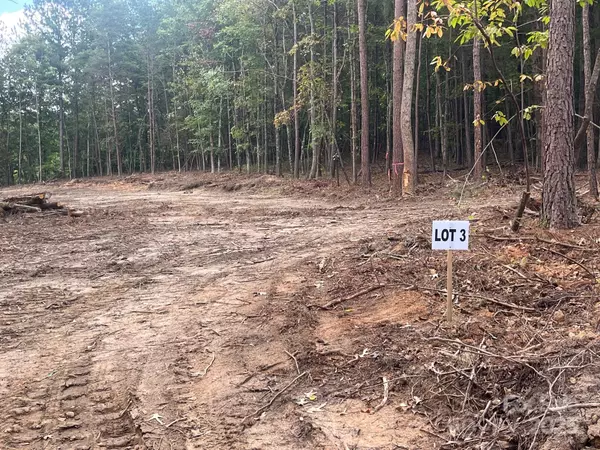 Rutherfordton, NC 28139,V/L W V Thompson RD #2,3