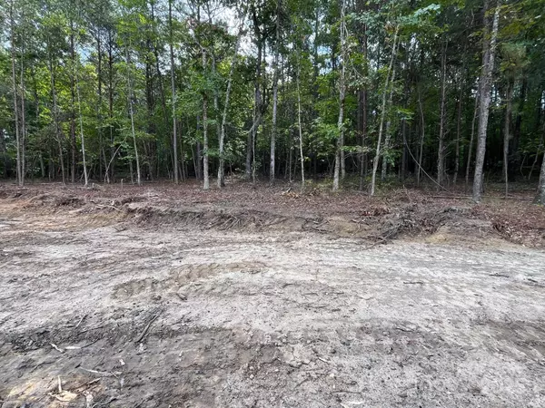 Rutherfordton, NC 28139,V/L W V Thompson RD #2,3