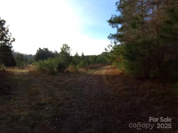 Chester, SC 29706,38 Ac Cedarhurst RD