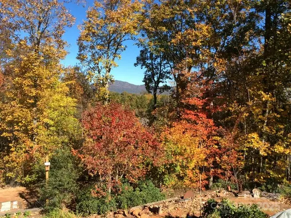 Landrum, SC 29356,160 Caledonia RD