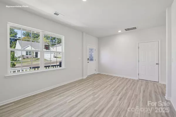 Newton, NC 28658,530 Dazzle LOOP