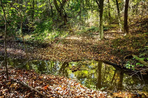 Maiden, NC 28650,68 Seminole DR #68