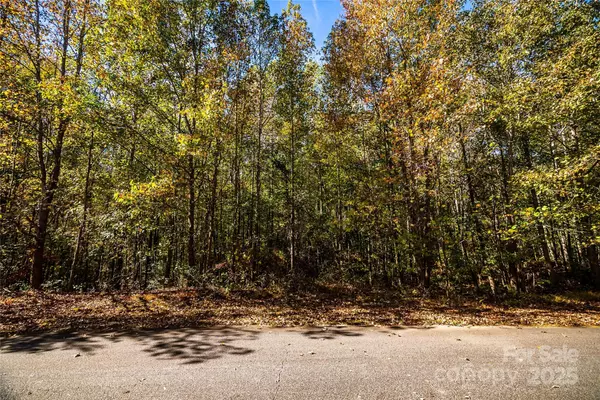 Maiden, NC 28650,68 Seminole DR #68