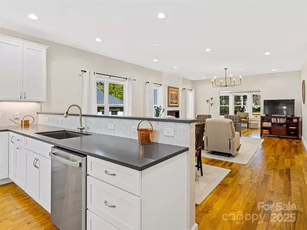 Brevard, NC 28712,46 Fortune LN