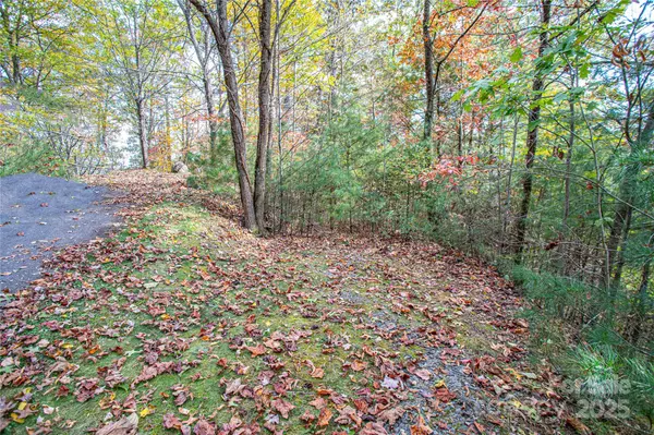 Brevard, NC 28712,TBD High Point TRL #24