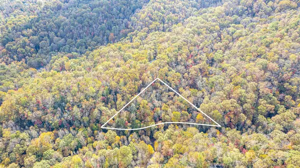 Brevard, NC 28712,TBD Stone DR #13