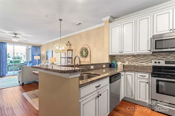 Cornelius, NC 28031,18009 Kings Point DR #M