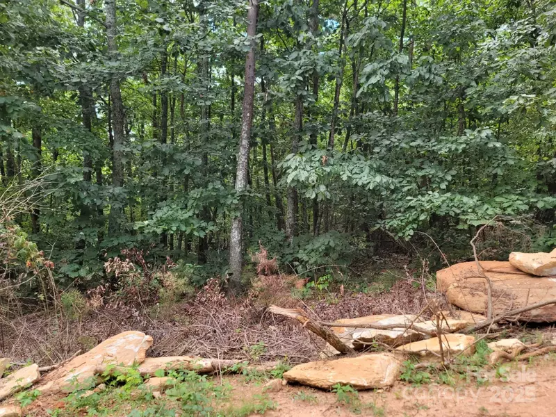 219 Judy RD, Casar, NC 28020