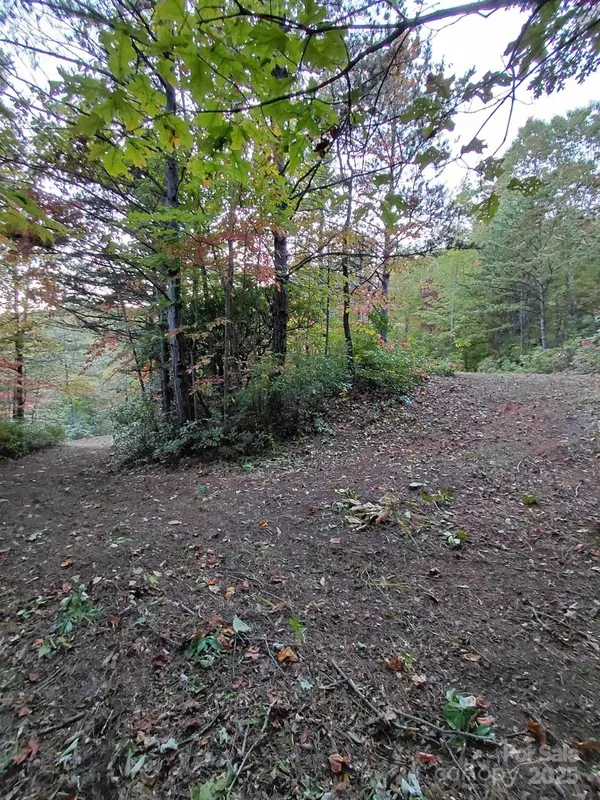 Old Fort, NC 28762,368 Sassafras DR #726