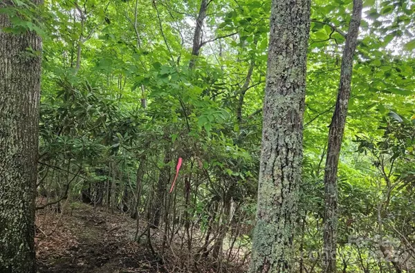 Burnsville, NC 28714,Lot 3 Mountain View RD