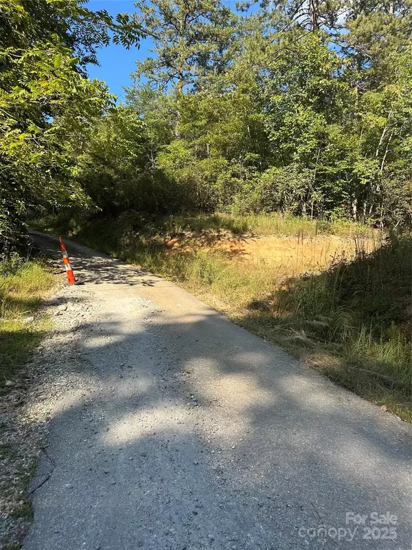 Old Fort, NC 28762,00 Wildlife Lake RD