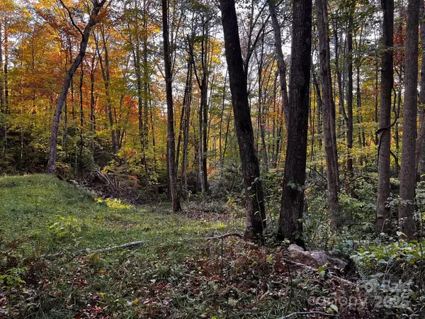 Canton, NC 28716,00 Rocky Face DR #22,23,24