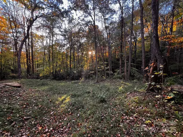 Canton, NC 28716,00 Rocky Face DR #22,23,24