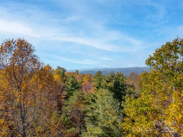 Pisgah Forest, NC 28768,3314 Reserve RD