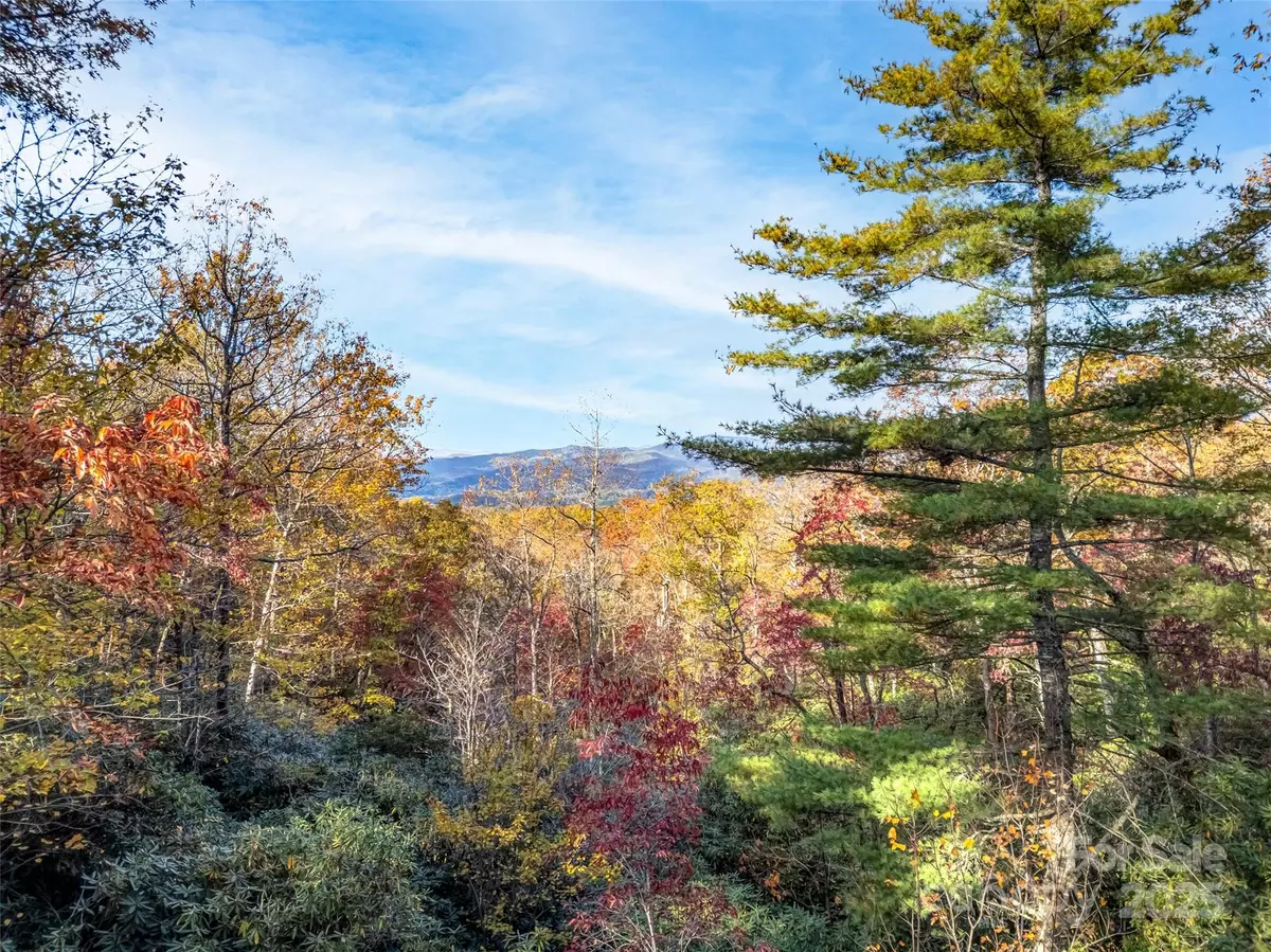 Pisgah Forest, NC 28768,3314 Reserve RD