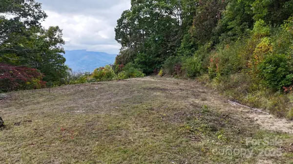 Waynesville, NC 28786,Lot 45 Weatherwatch LN