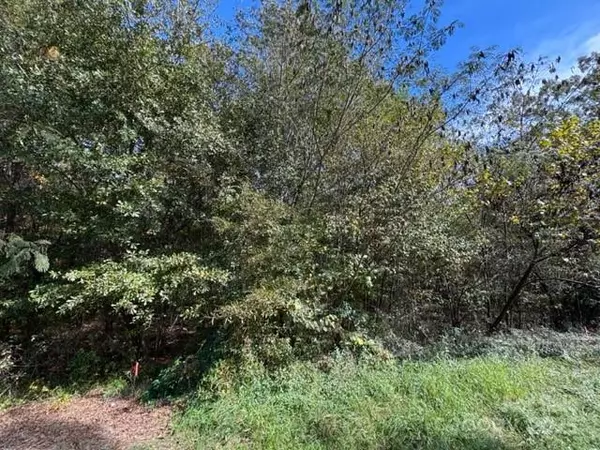 Dallas, NC 28034,0 Hoyle ST