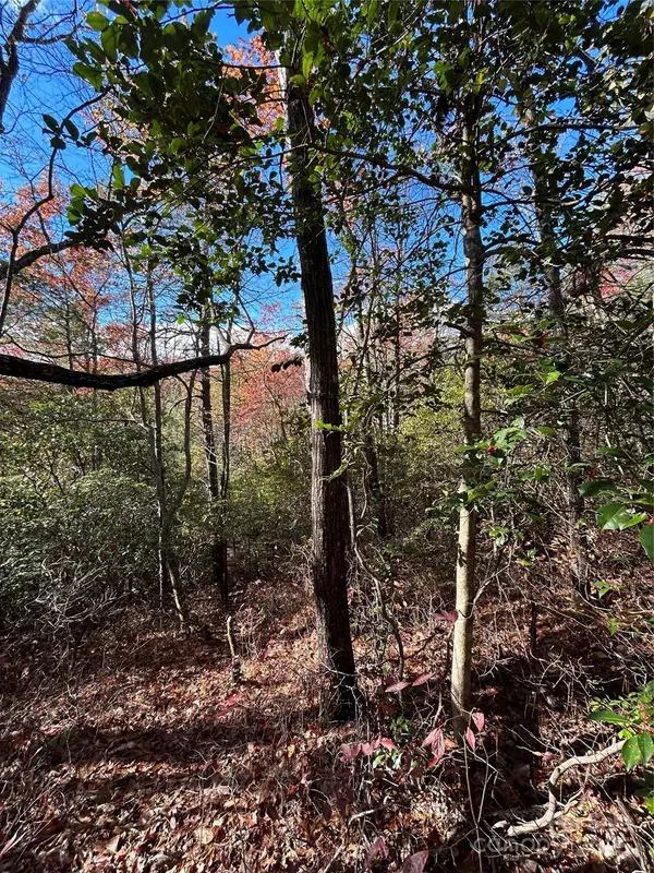 Brevard, NC 28712,Lot 3 and 4 Oriole RD